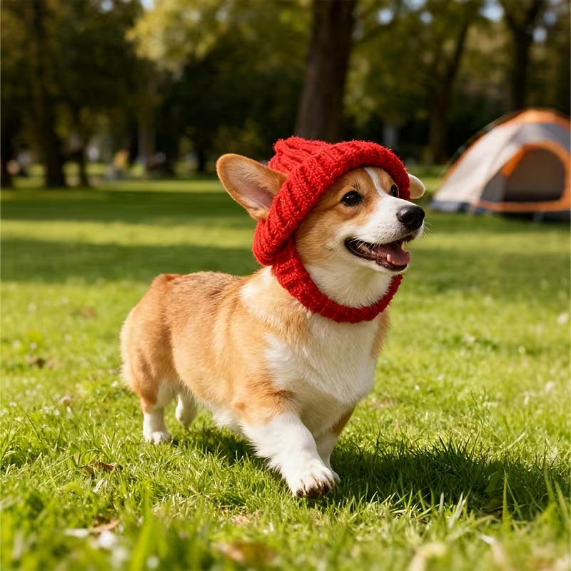 Knitted Hat, Maltese Dog Ear-Flap Headgear, Outdoor Indoor Warmth